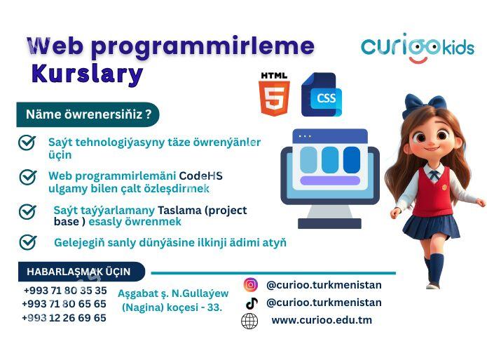 Web Programmirleme - Aşgabat - img 2