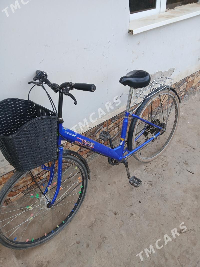 welik yapoşka - Köneürgenç - img 2