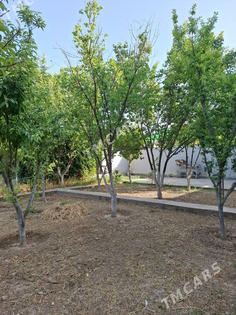 BAGYR БАГИР 25-SOTUK PLAN  - Ашхабад - img 3