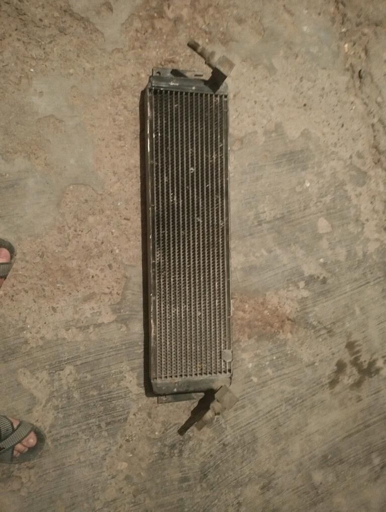 Goşmojo yradiÿatyr 600 TMT - Sakarçäge - img 2