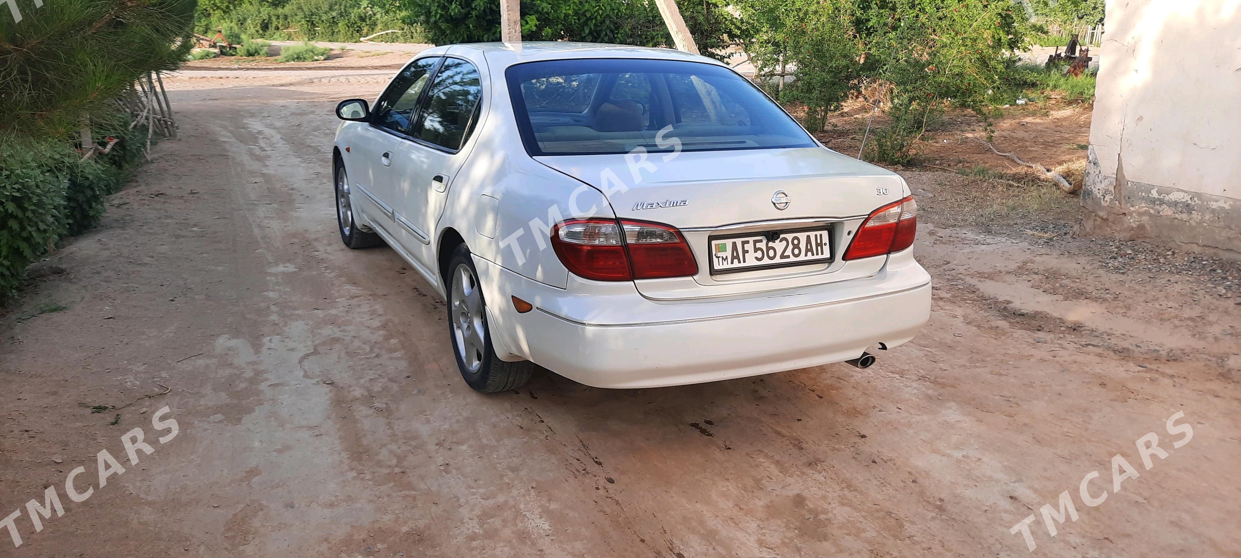 Nissan Maxima 2001 - 70 000 TMT - Tejen - img 4