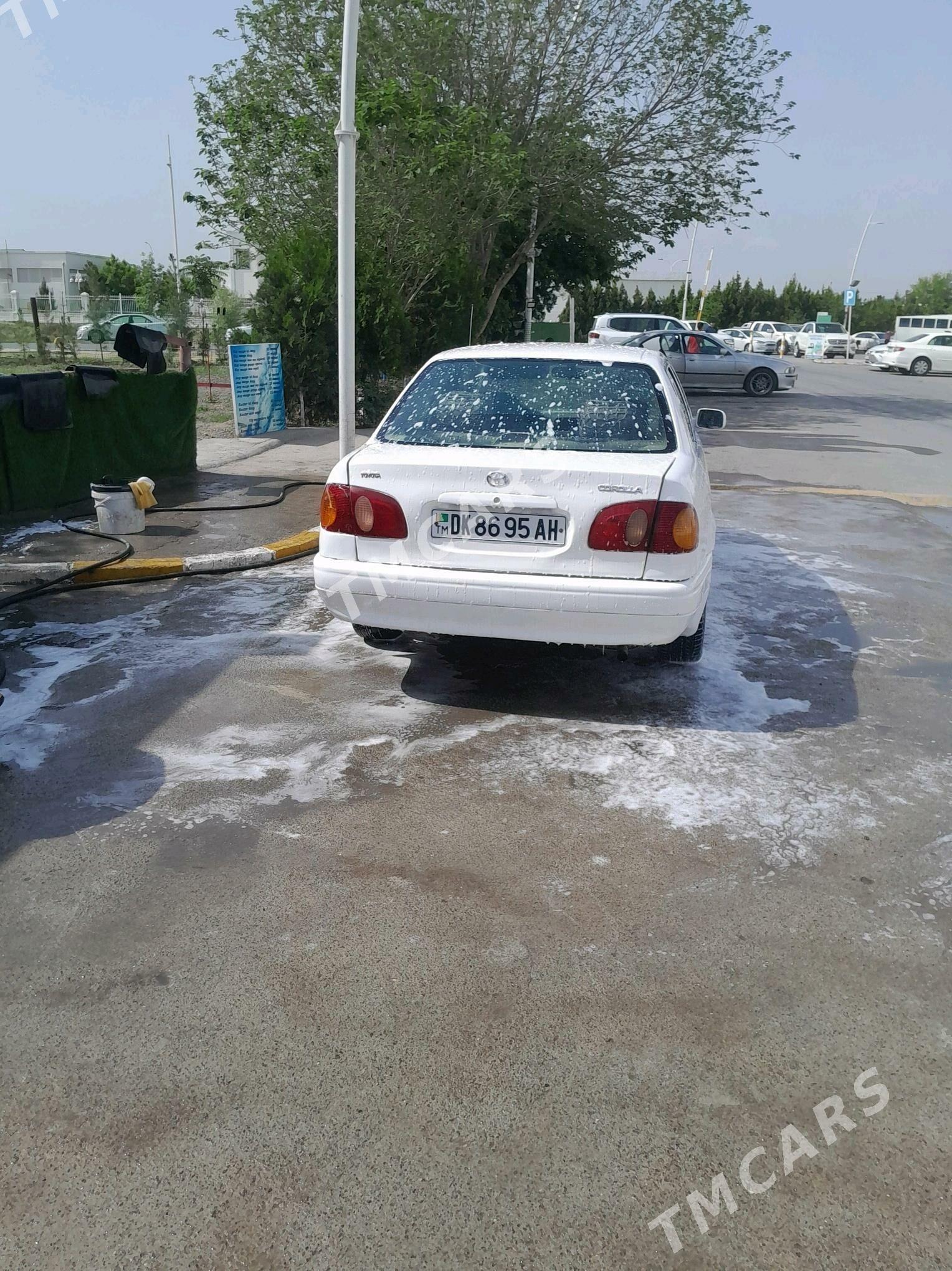 Toyota Corolla 1999 - 55 000 TMT - Ak bugdaý etraby - img 2