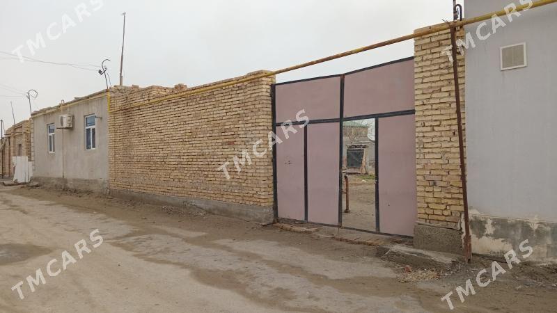 zaton daca - Türkmenabat - img 2
