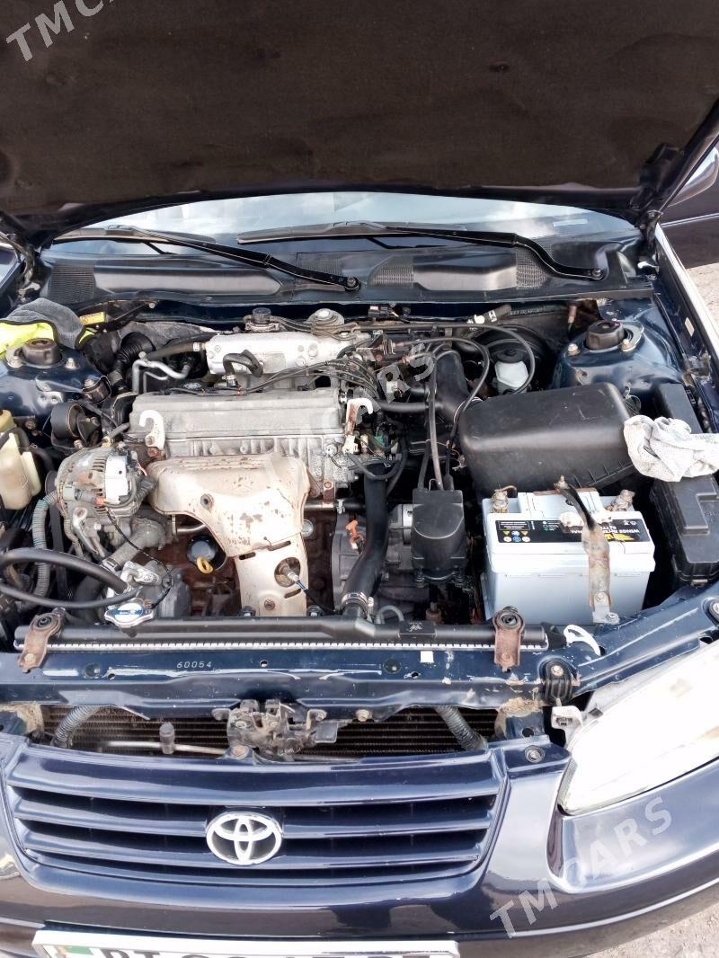 Toyota Camry 1999 - 120 000 TMT - Daşoguz - img 4