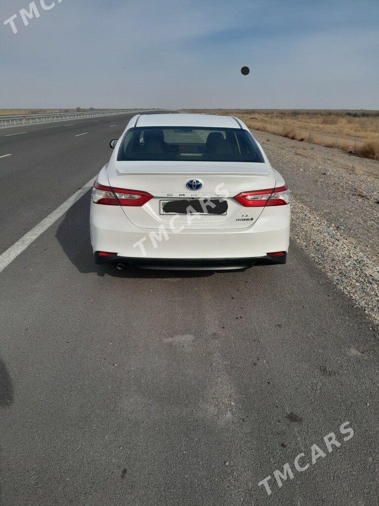 Toyota Camry 2020 - 240 000 TMT - Sakarçäge - img 2