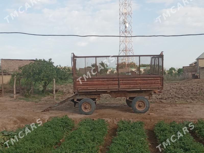 MTZ 82 1990 - 40 000 TMT - Sakarçäge - img 2