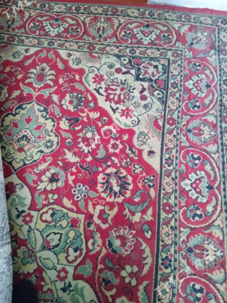 Halylar - Daşoguz - img 2