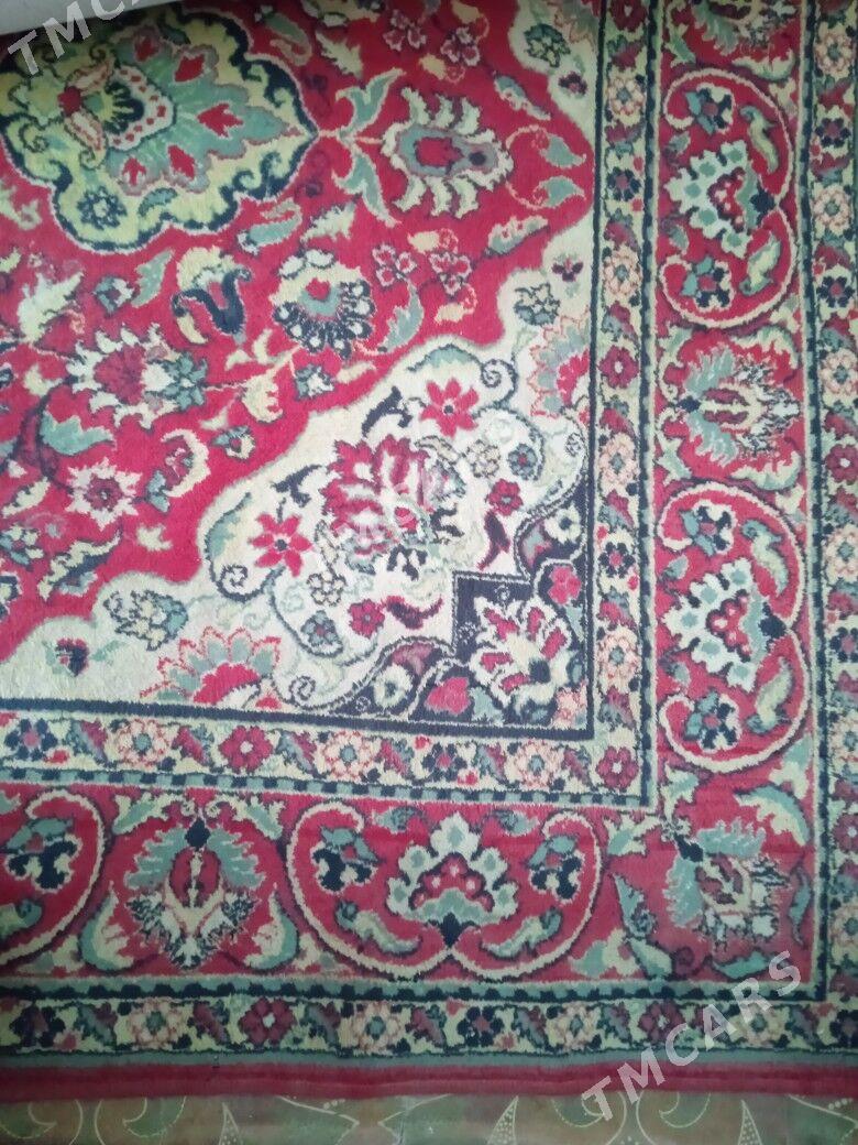 Halylar - Daşoguz - img 3