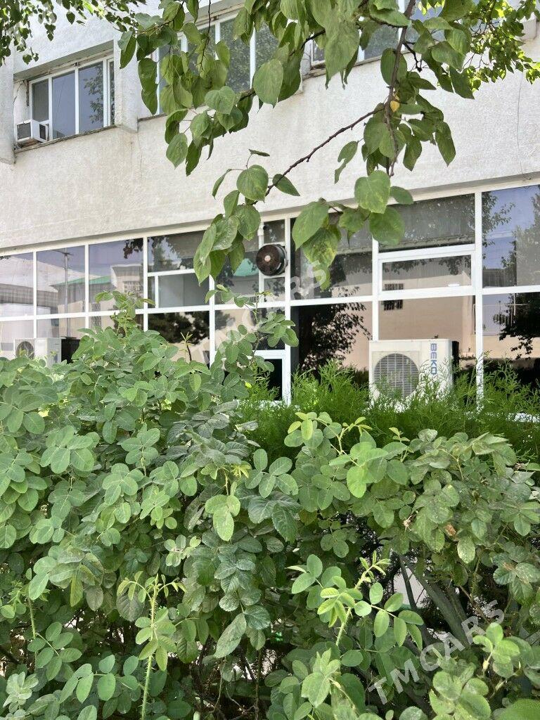 TEKE-BAZAR, 1-NJI ETAŽ, 55m² - Aşgabat - img 3
