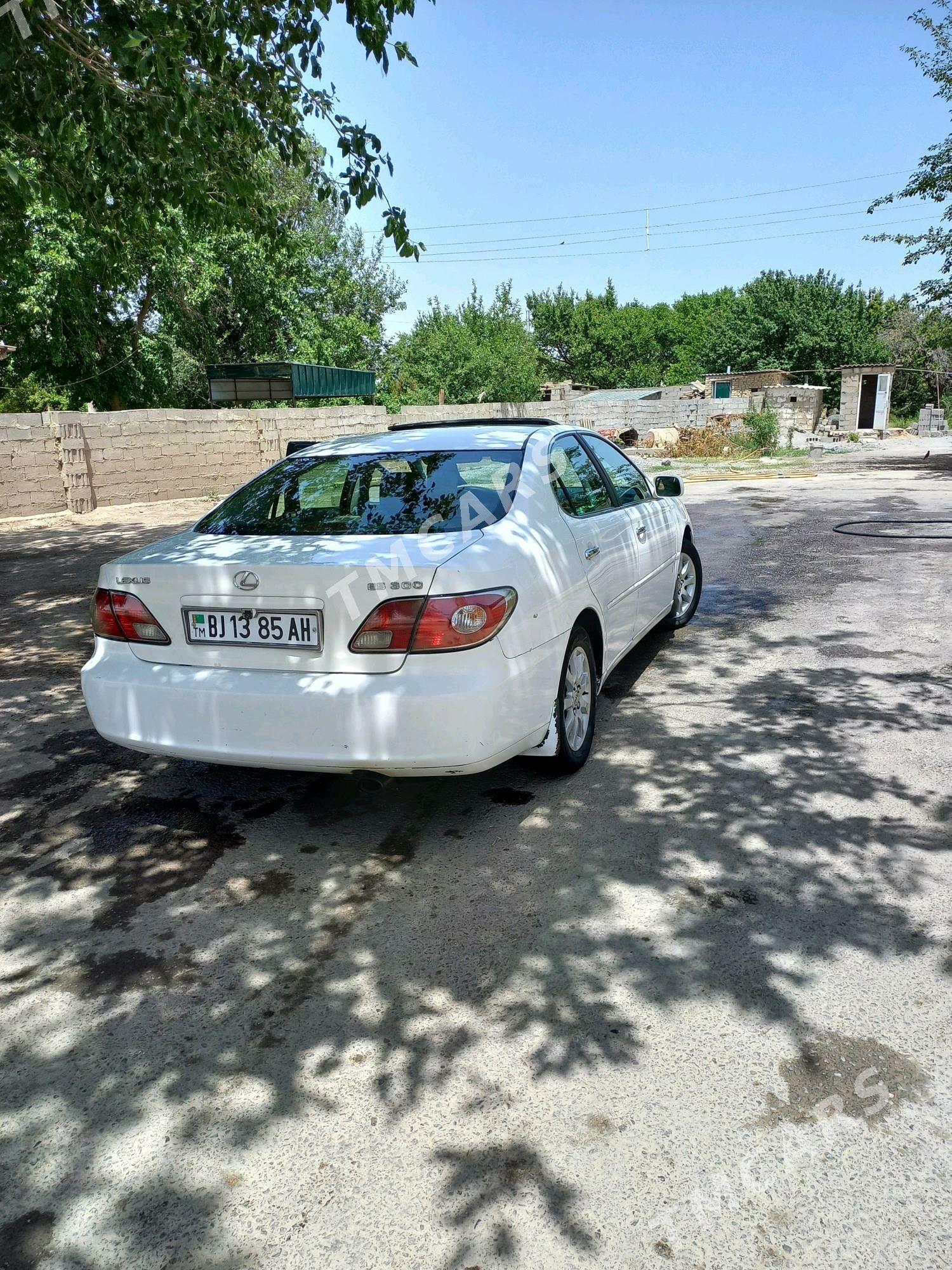 Lexus ES 300 2003 - 150 000 TMT - Ak bugdaý etraby - img 2