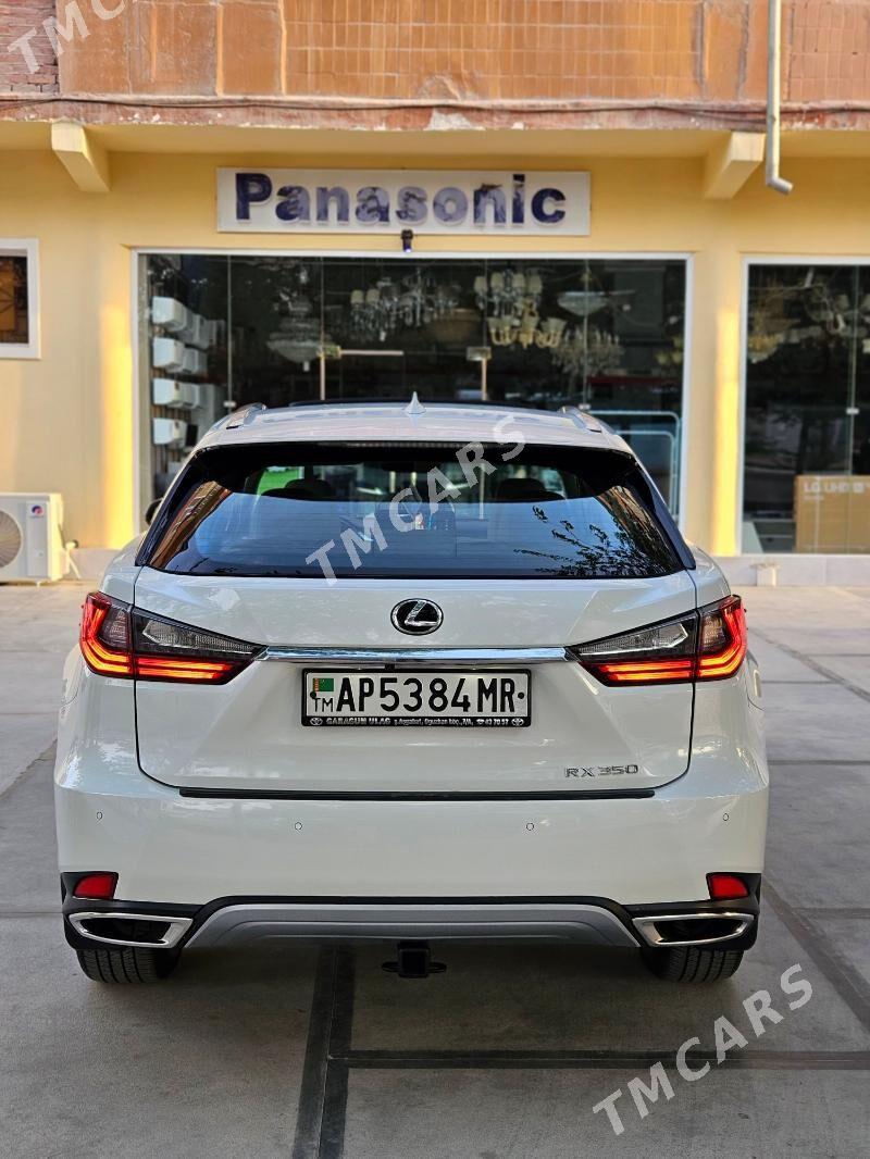 Lexus RX 350 2020 - 530 000 TMT - Mary - img 3
