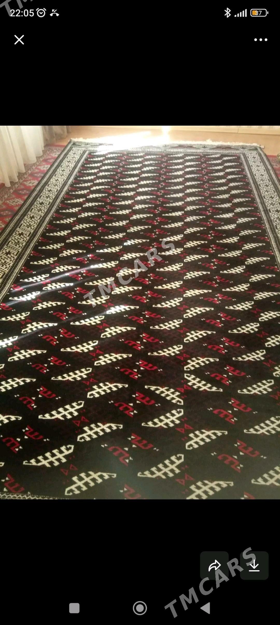 Gara haly - Türkmenbaşy - img 3