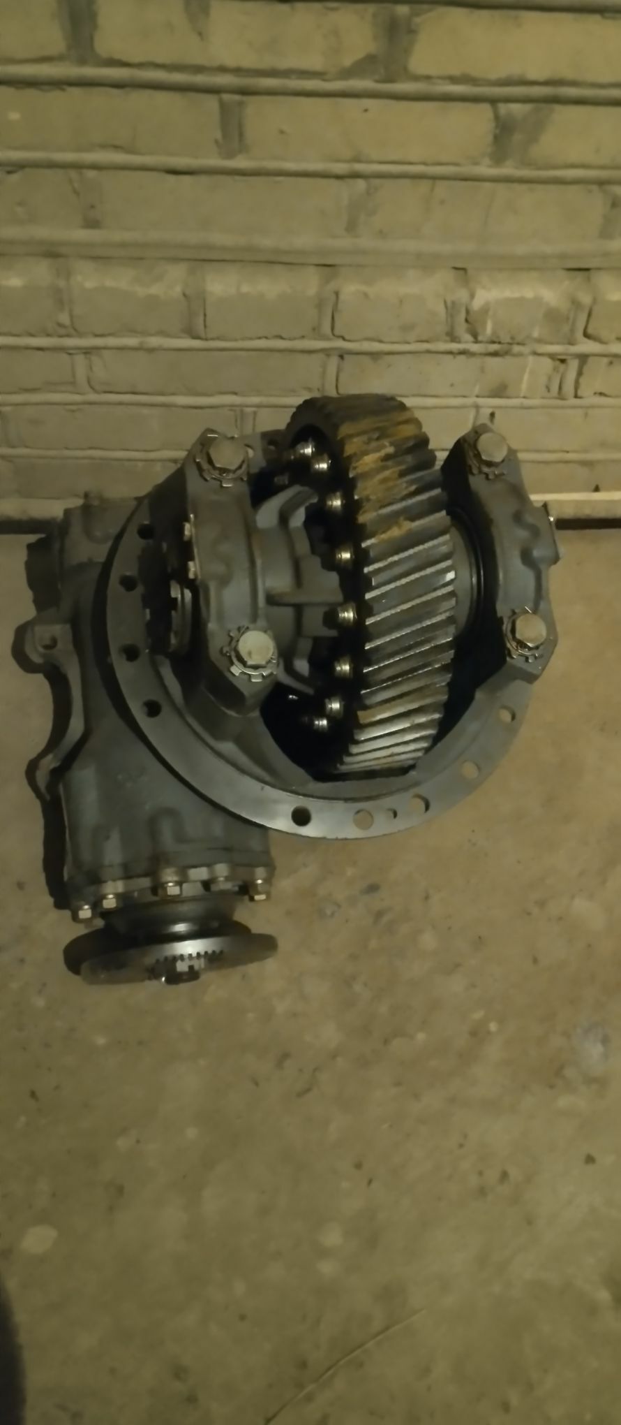 redukdyr 8 000 TMT - Sakarçäge - img 4