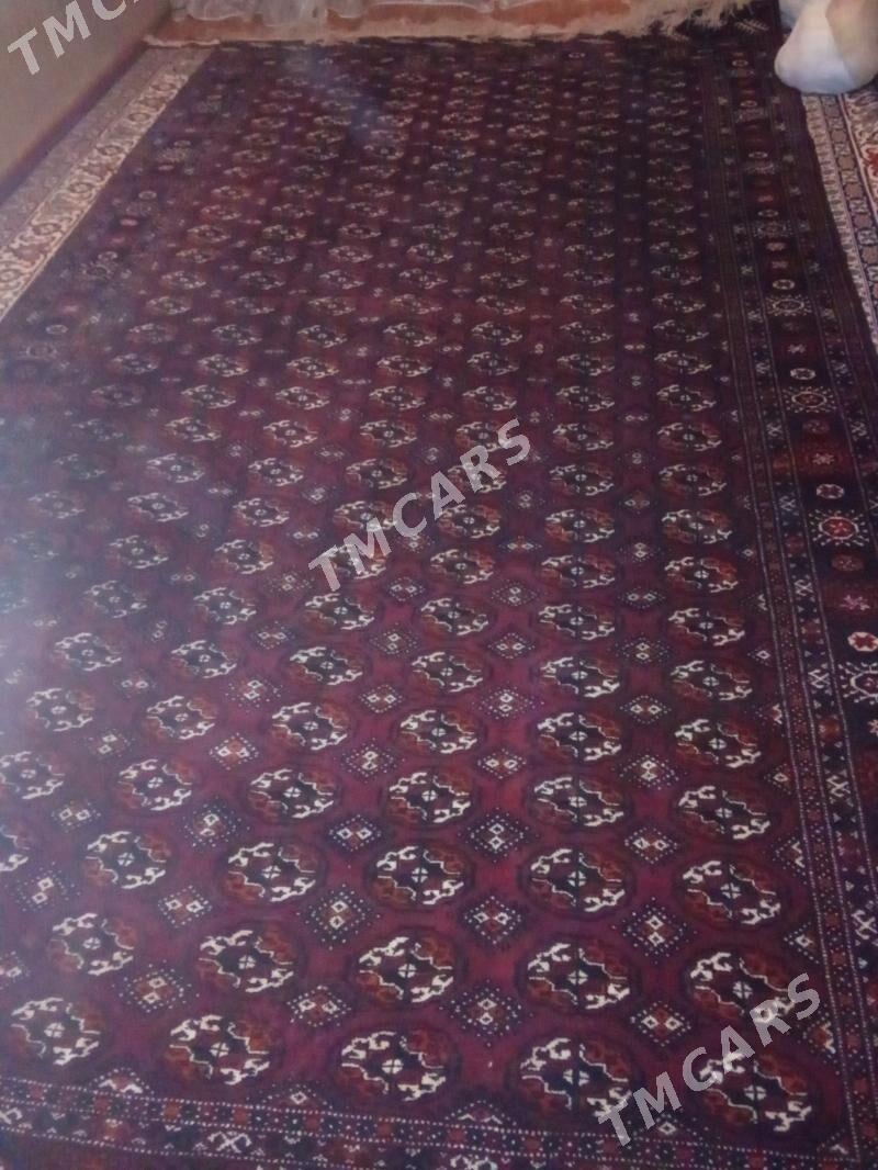 haly - Türkmenbaşy - img 2
