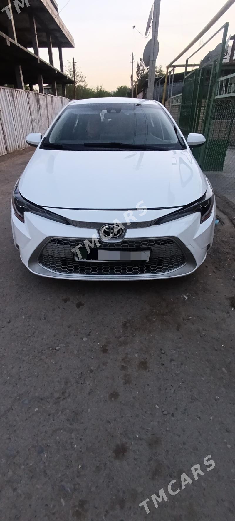 Toyota Corolla 2019 - 220 000 TMT - Mary - img 4
