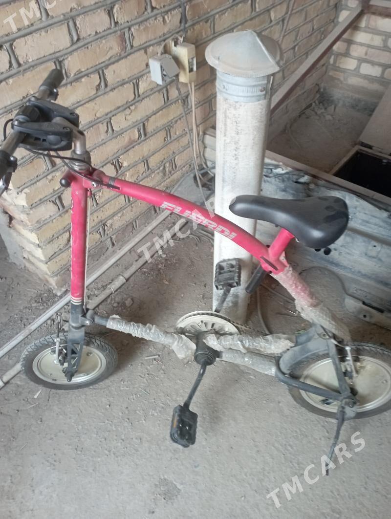 WELOSAPET ARZAN - Мары - img 2