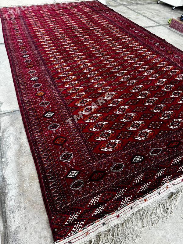 haly El haly - Aşgabat - img 2