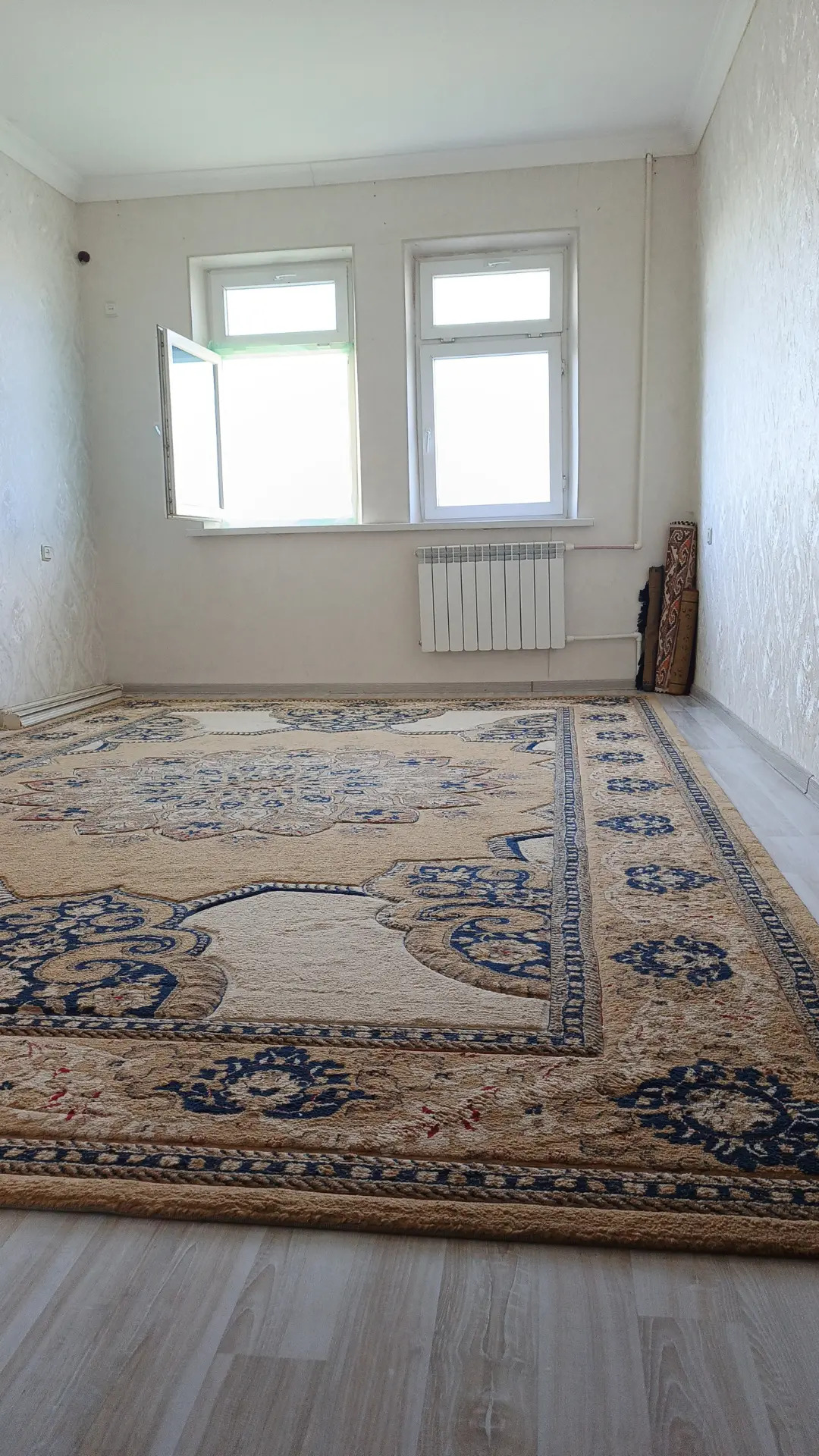 Buzmeyin Gres - Büzmeýin GRES - img 2