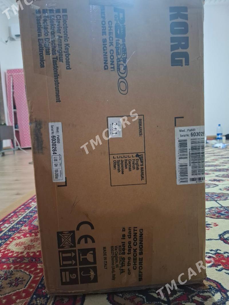 korg pa800 paket - Aşgabat - img 3