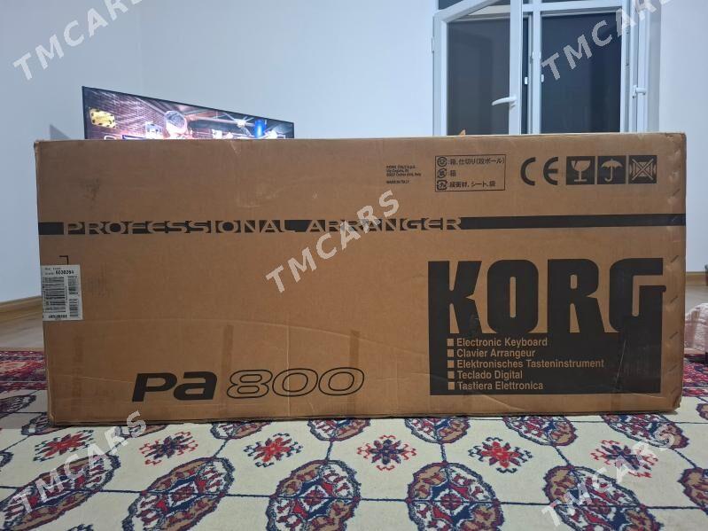korg pa800 paket - Aşgabat - img 2