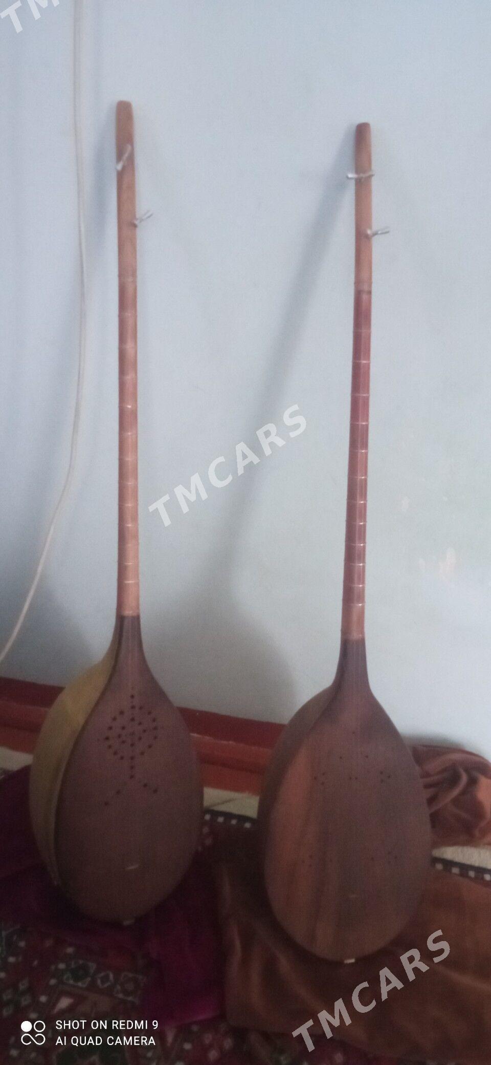 Elektro dutar Táze - Mary - img 2