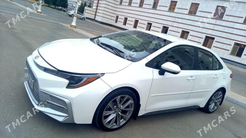 Toyota Corolla 2020 - 222 000 TMT - Ашхабад - img 3