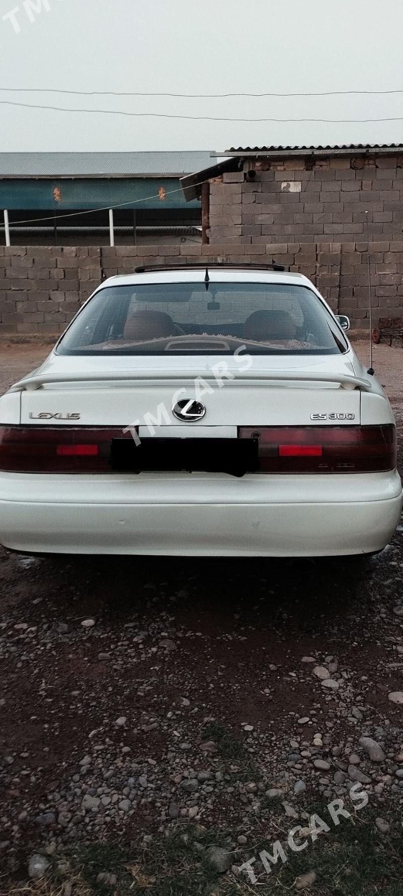 Lexus ES 300 1992 - 80 000 TMT - Серхетабат (Кушка) - img 2