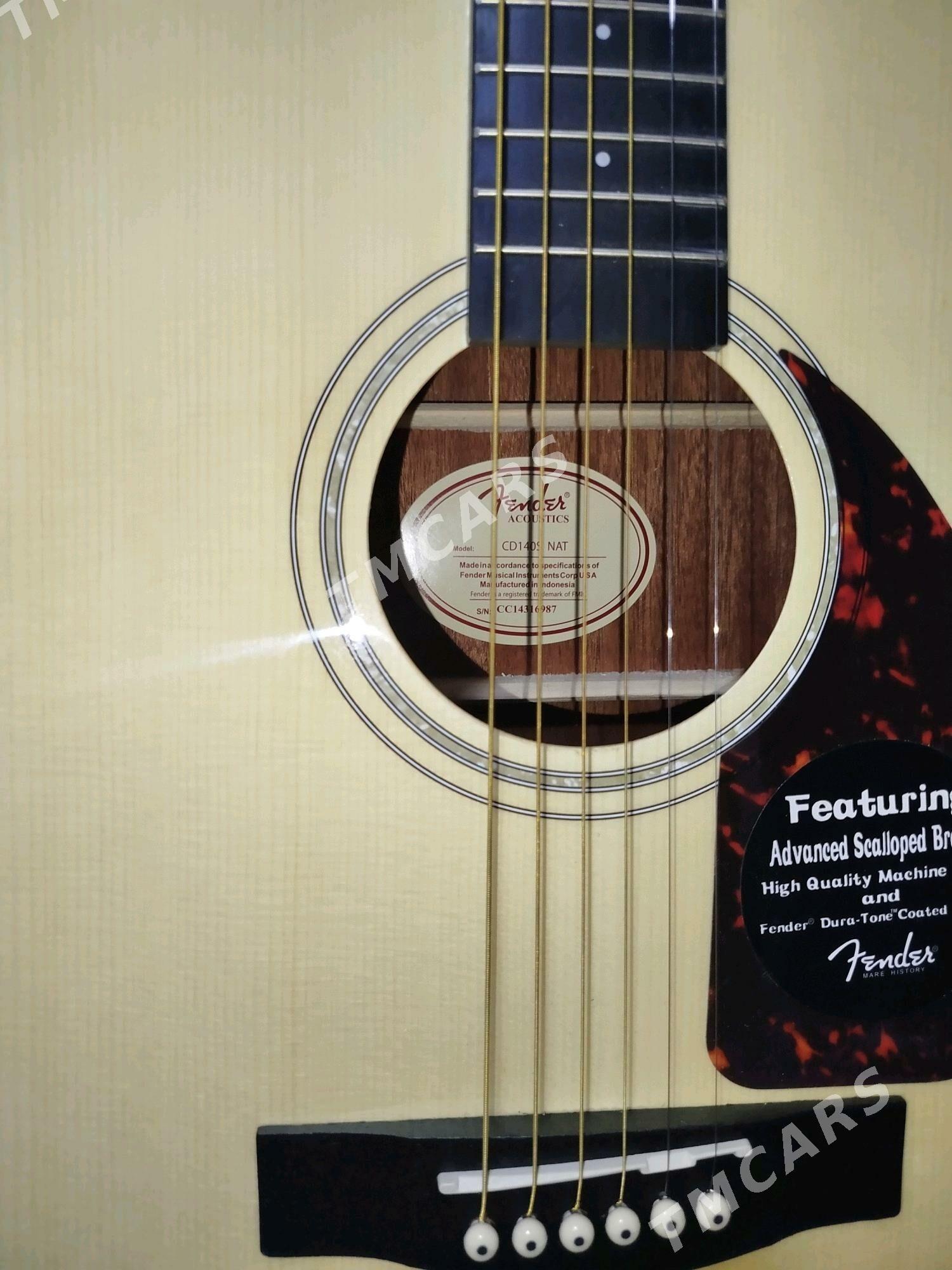 FENDER INDONESIA GITARA PAKET - Daşoguz - img 3