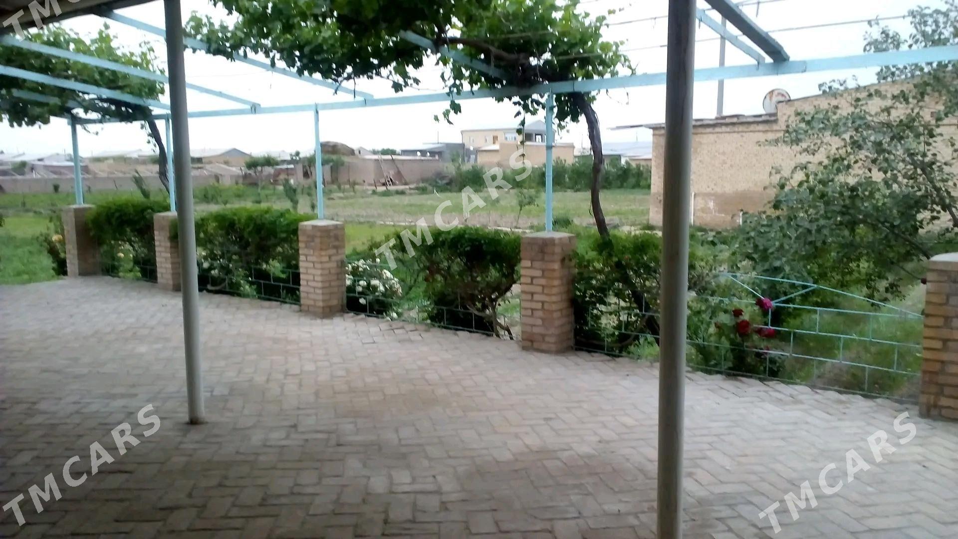 Satlyk jaý Kerki etrap - Kerki - img 2