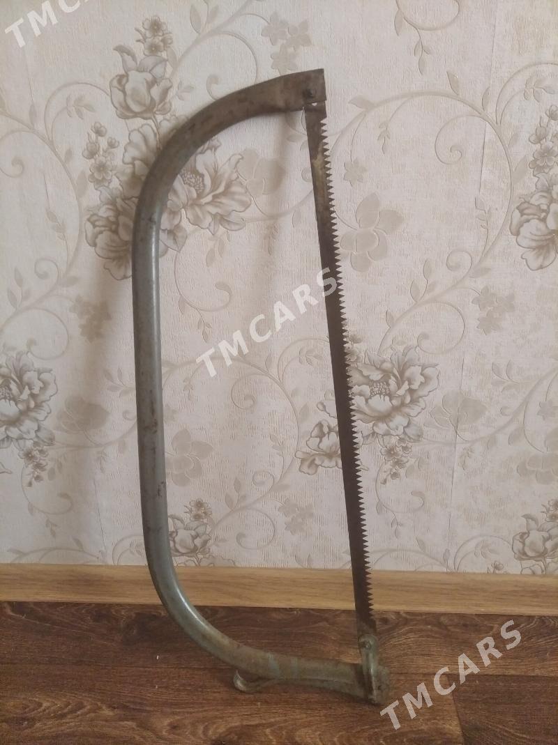 Пила - Türkmenbaşy - img 2