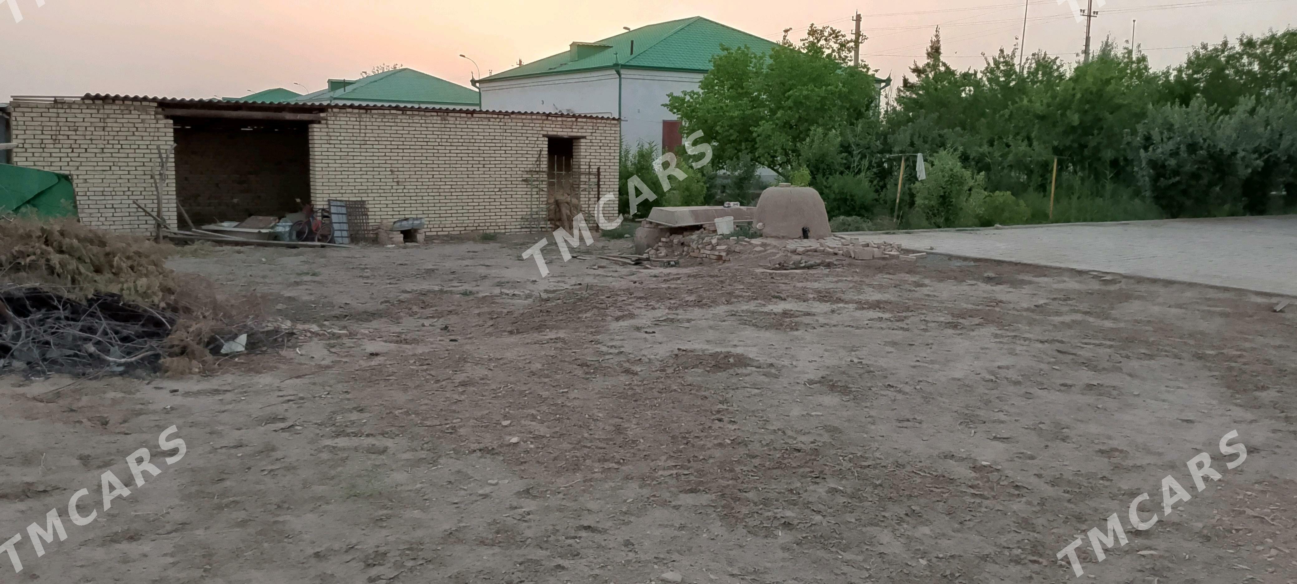 SATLYK JAŸ ALTYN SÂHRA - Сакарчага - img 5