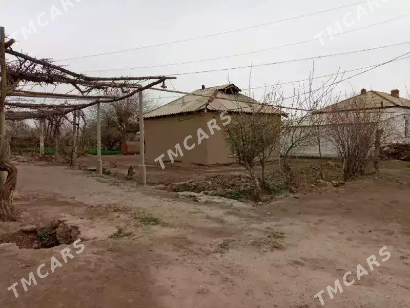 Türkmengala 25 sot budý t-gala - Туркменгала - img 3