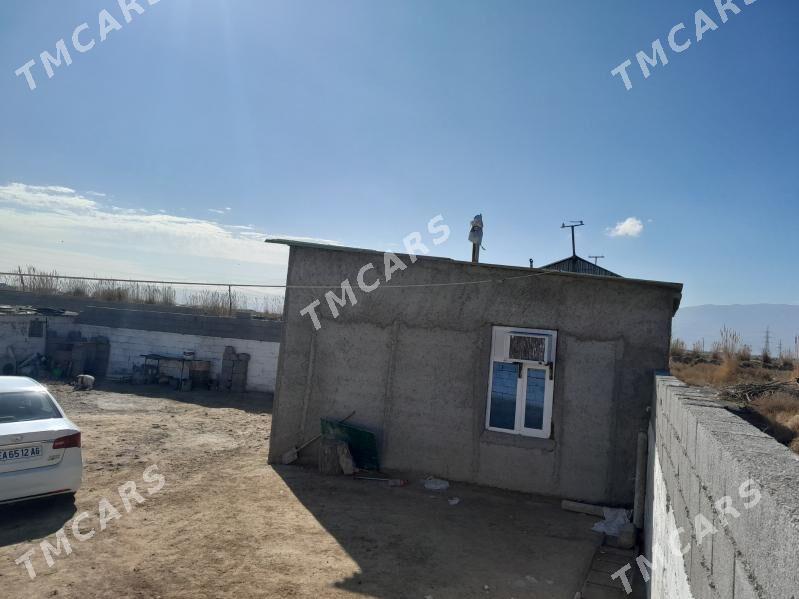 daca talhanly - Гёкдепе - img 2