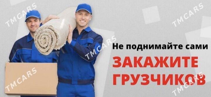 Gazel we oglanlar Газель и гру - Гаудан "В" - img 5