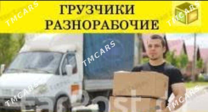 Gazel we oglanlar Газель и гру - Гаудан "В" - img 3