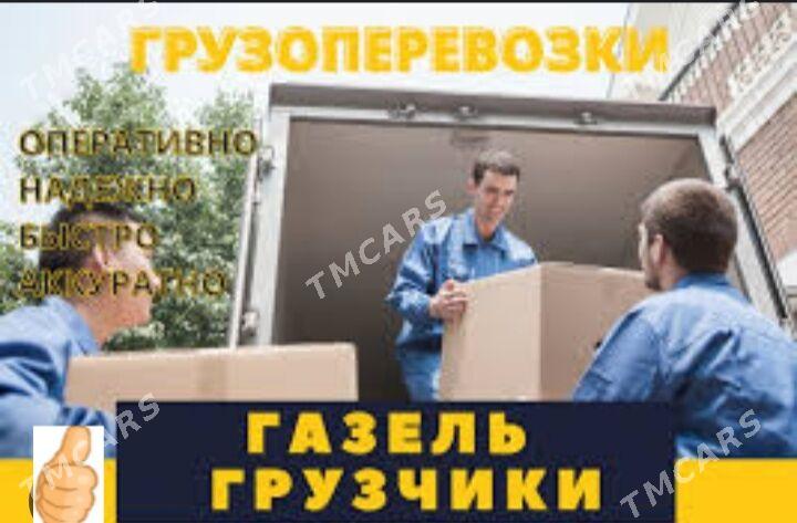 Gazel we oglanlar Газель и гру - Гаудан "В" - img 8