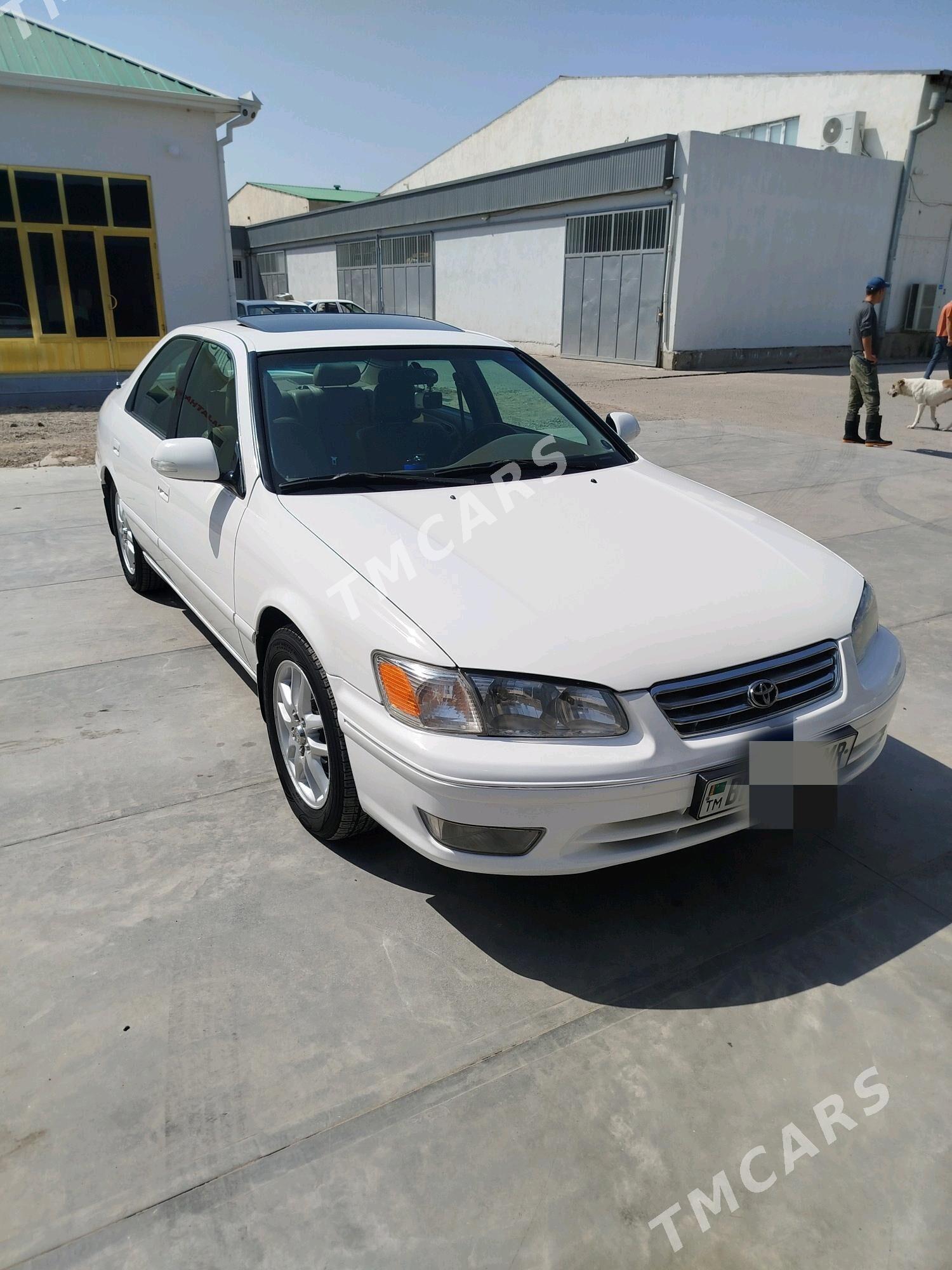 Toyota Camry 2001 - 160 000 TMT - Мары - img 5