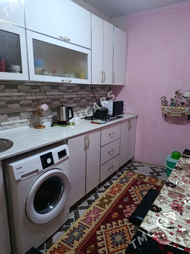 Mekir - Tejen - img 3