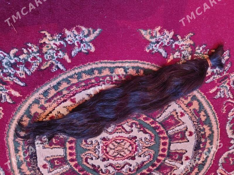 sac - Daşoguz - img 2