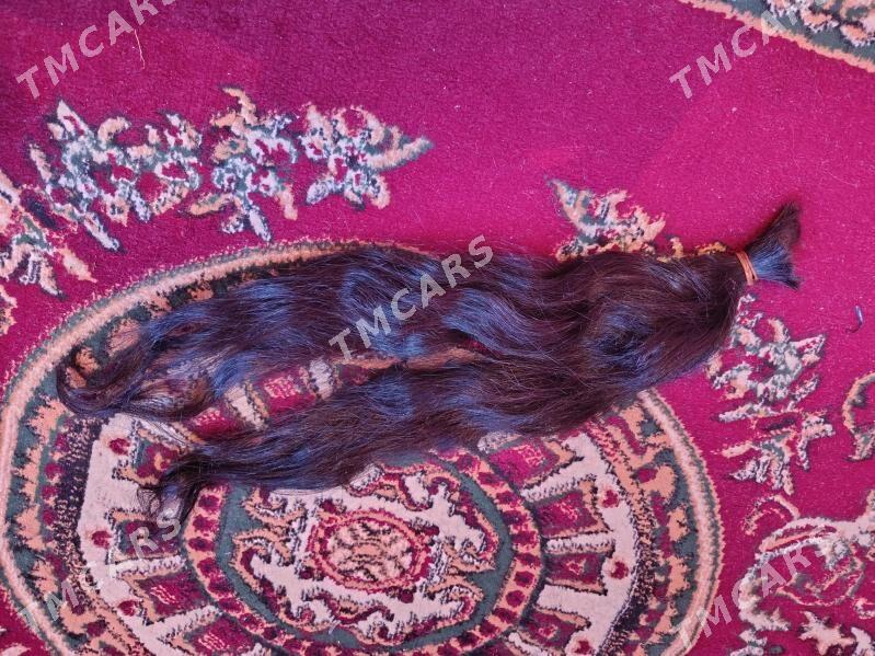 sac - Daşoguz - img 3