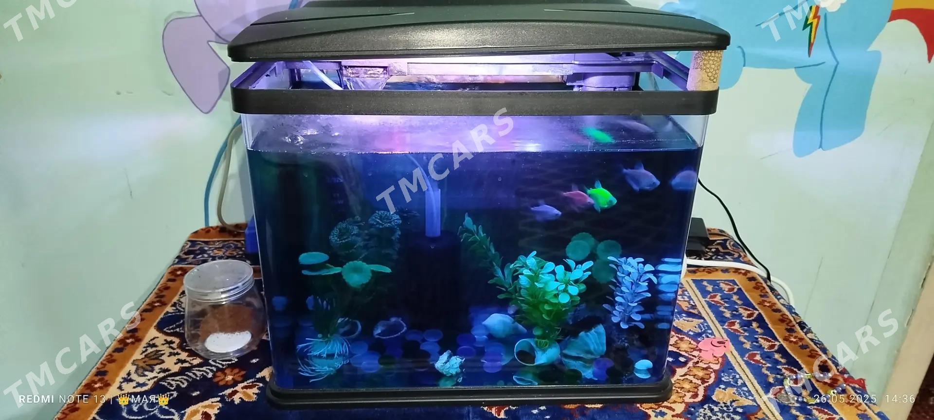 Аквариум(Akvarium) - 6 мкр - img 3