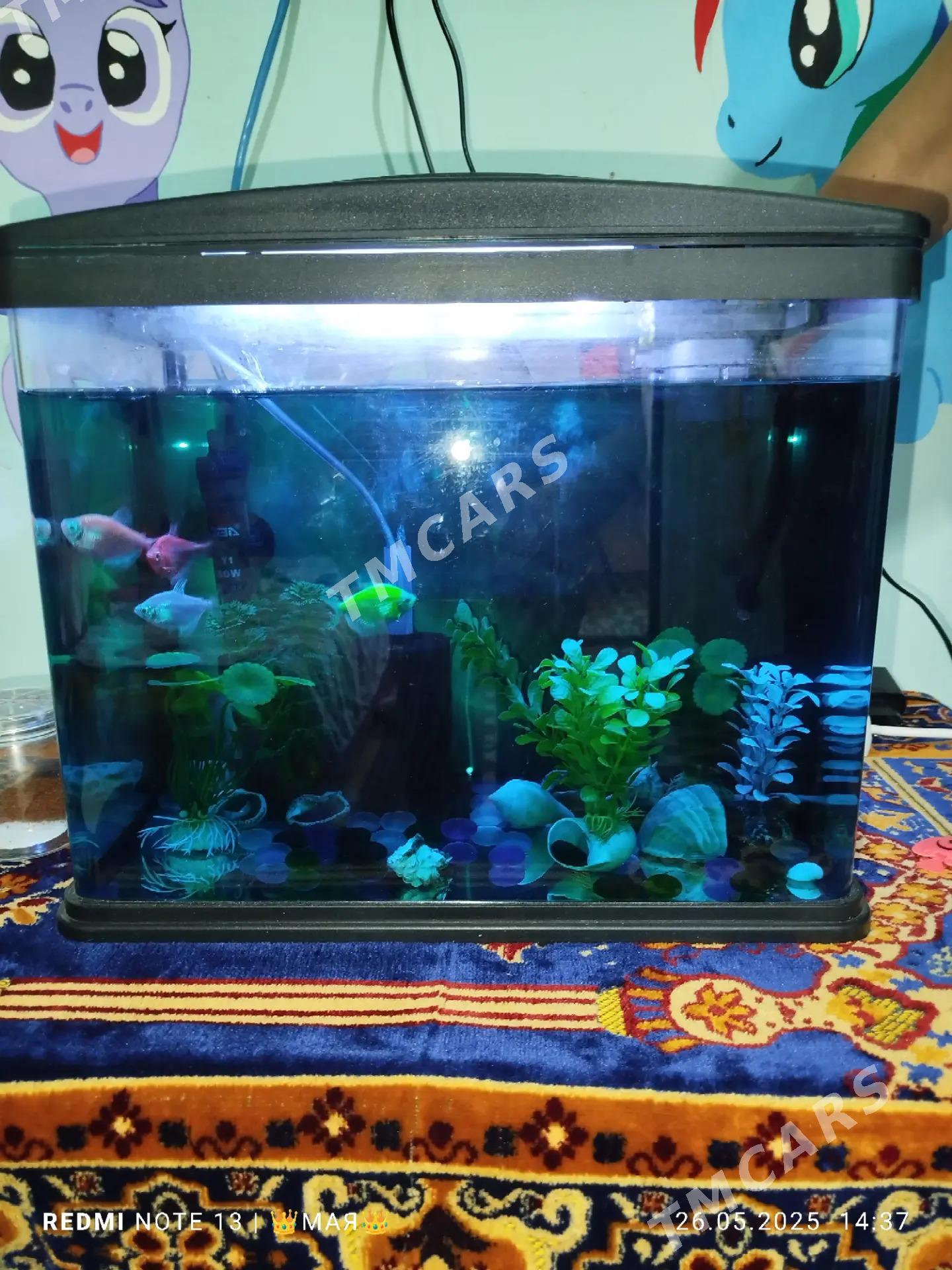 Аквариум(Akvarium) - 6 мкр - img 9