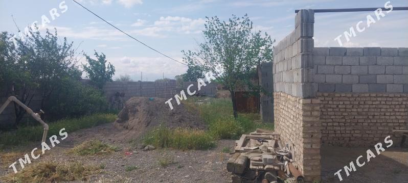 Ucaska - Kaka - img 3