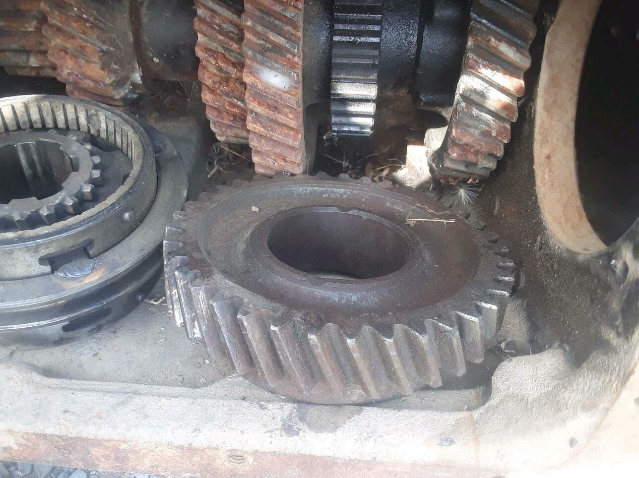karopga 1 500 TMT - Гёкдепе - img 3