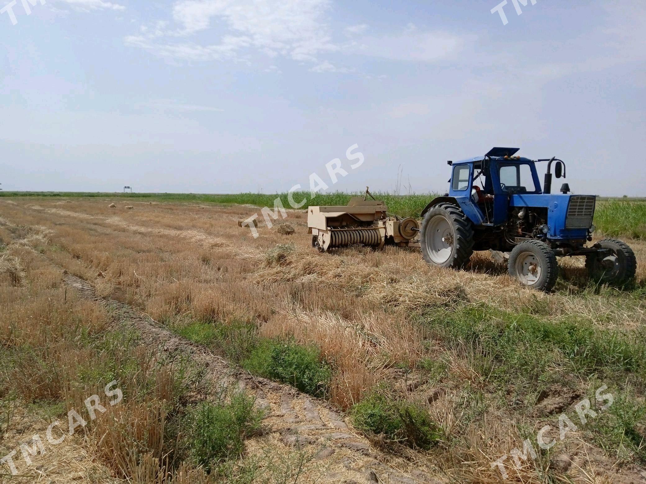 MTZ 82 1989 - 75 000 TMT - Бабадайхан - img 4
