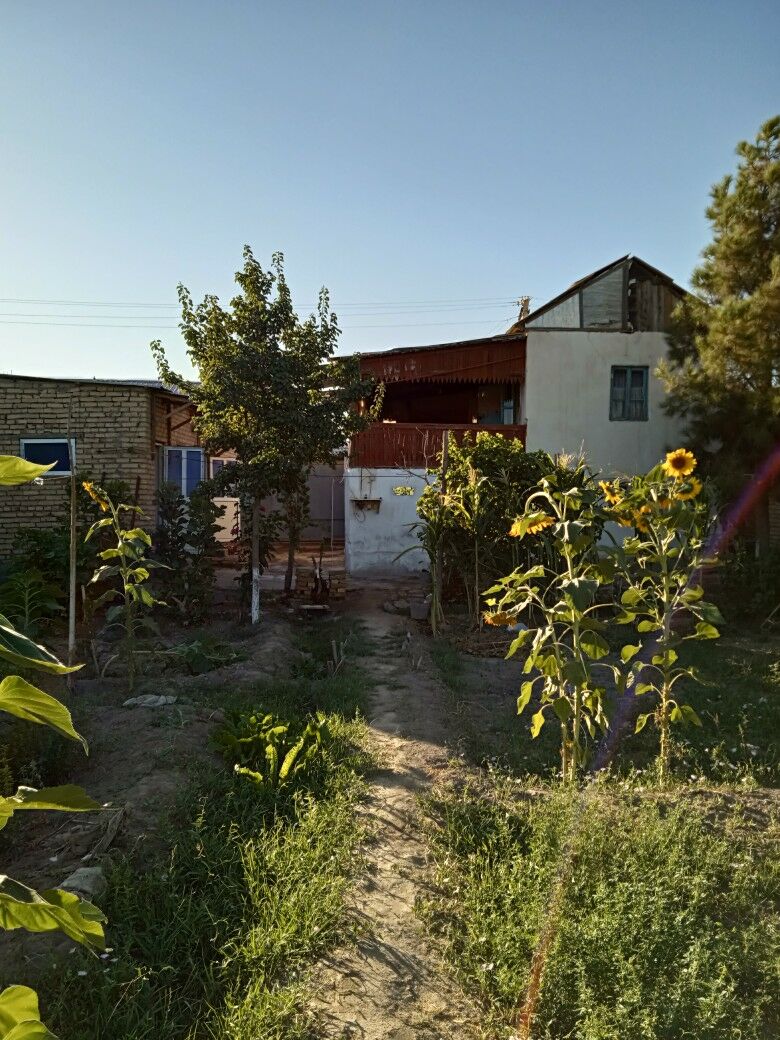Продается дача - Türkmenabat - img 9