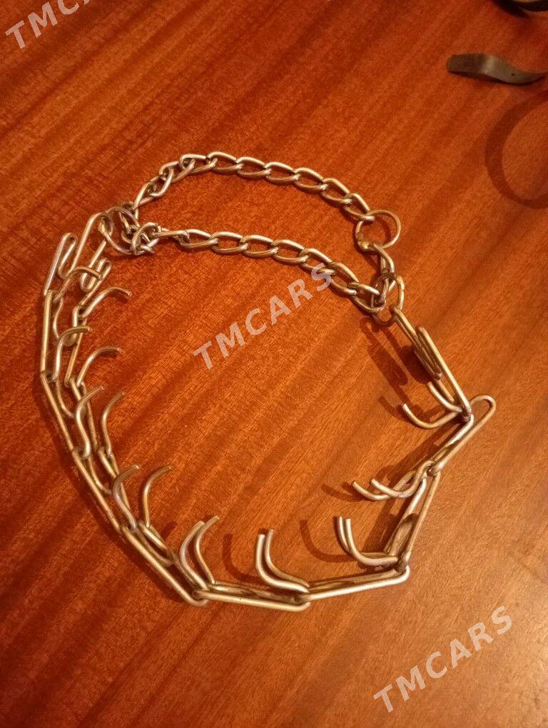 Для собаки - Хазар - img 2