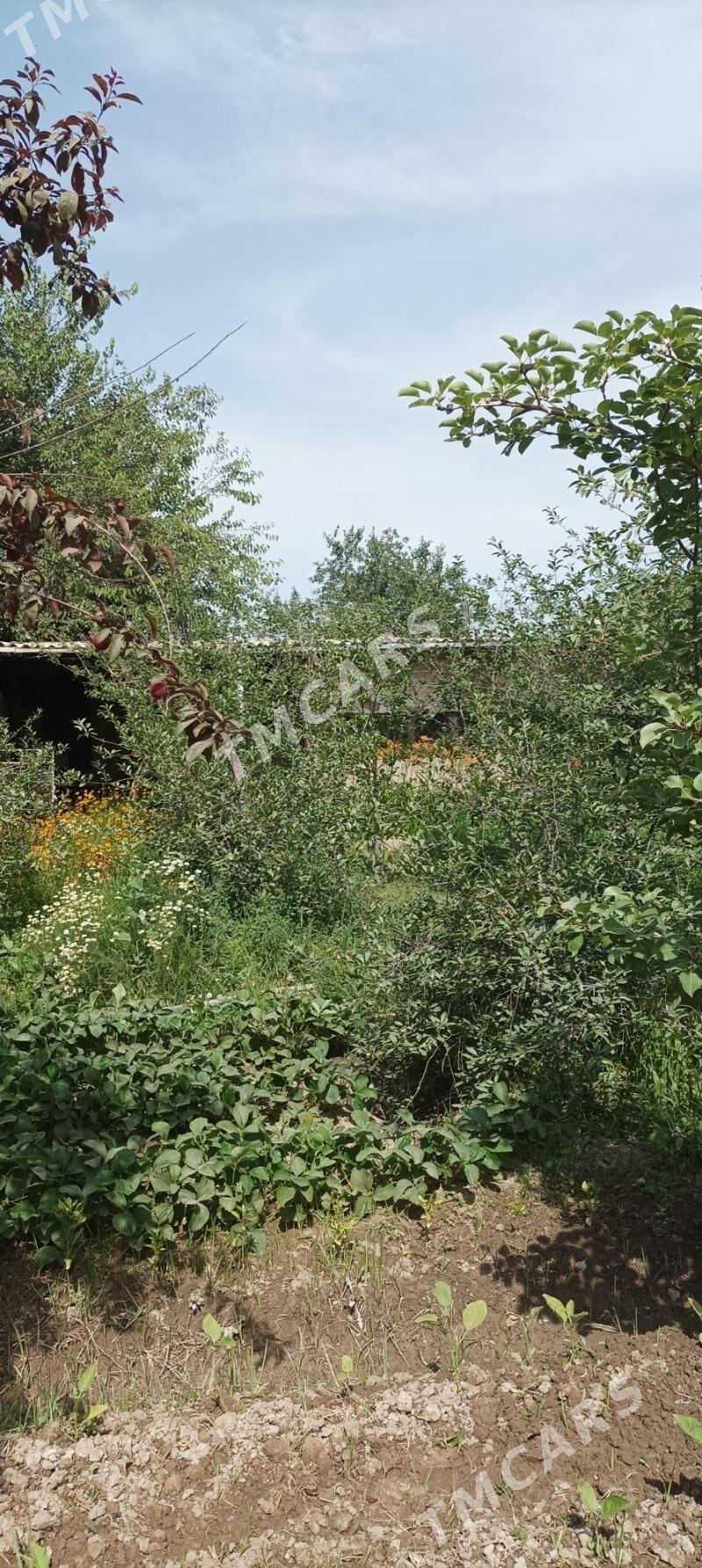 дача ГРЭС - Мичурин - Mary - img 3