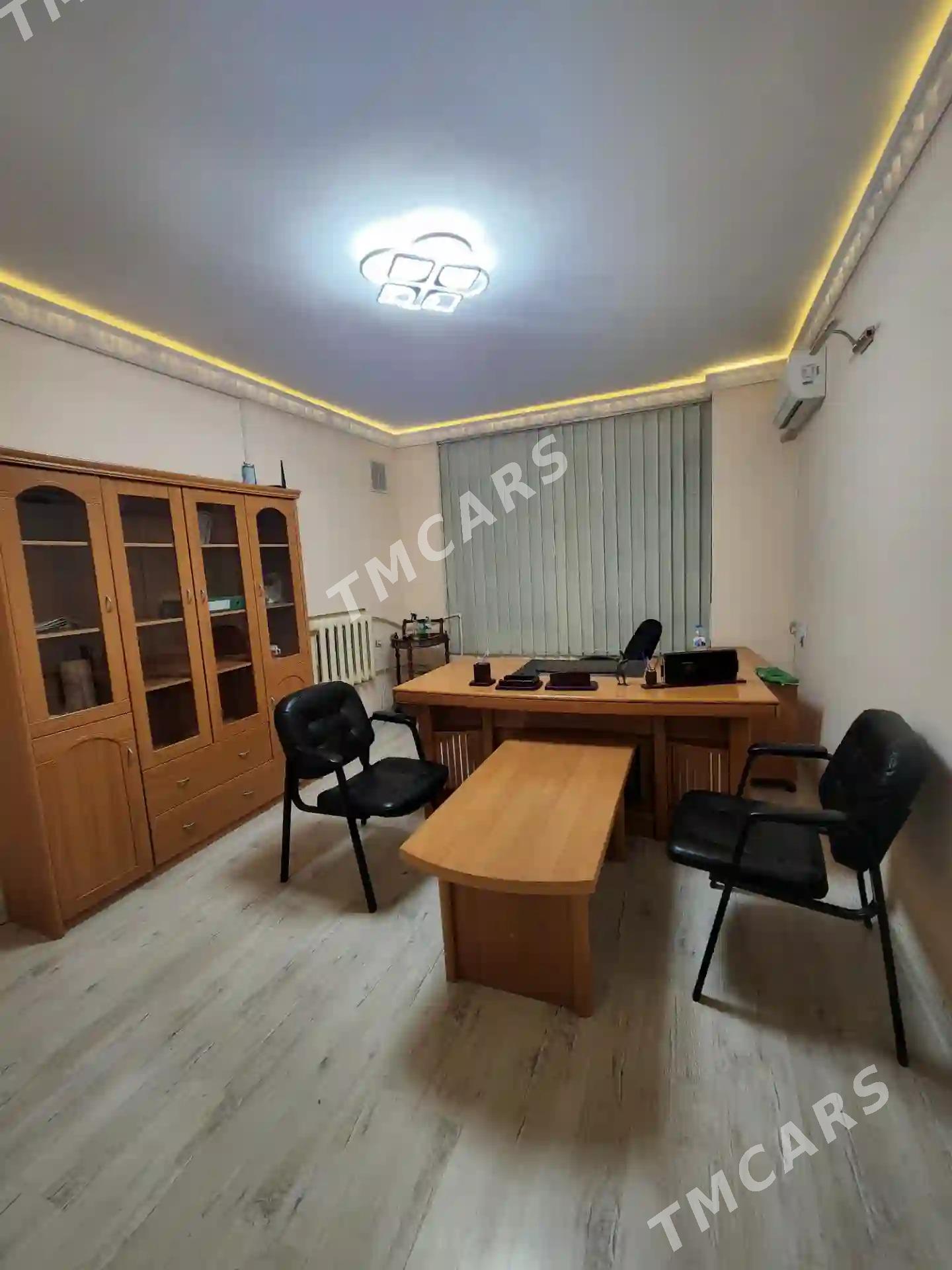 ГАУДАН В МИР АЙТАКОВА ОФИС - Гаудан "В" - img 3