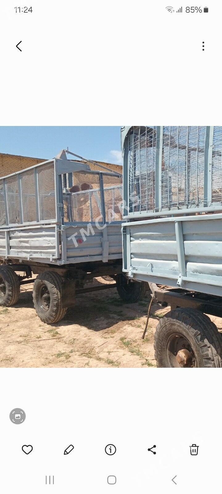 MTZ 80 2019 - 8 000 TMT - Çärjew - img 3